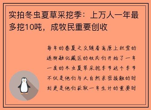 实拍冬虫夏草采挖季：上万人一年最多挖10吨，成牧民重要创收